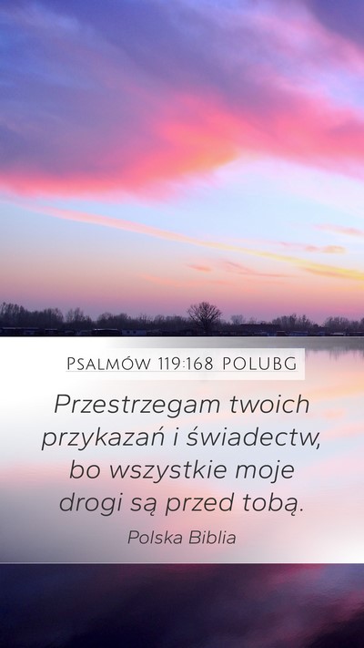 Psalmów 119:168 POLUBG Bible Verse Image