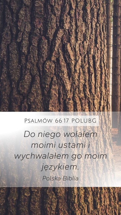 Psalmów 66:17 POLUBG Mobile Phone Wallpaper - Do niego wołałem moimi ustami i wychwalałem go - Mobile Bible Verse Wallpaper