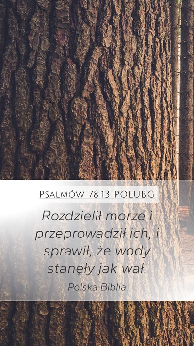 Psalmów 78:13 POLUBG Bible Verse Image