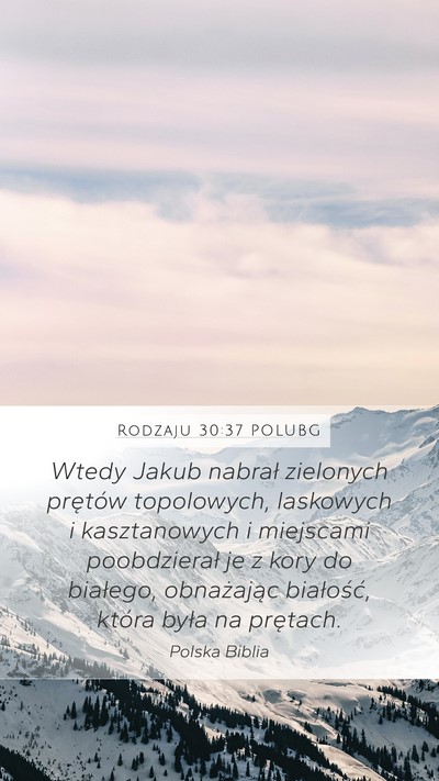 Rodzaju 30:37 POLUBG Bible Verse Image