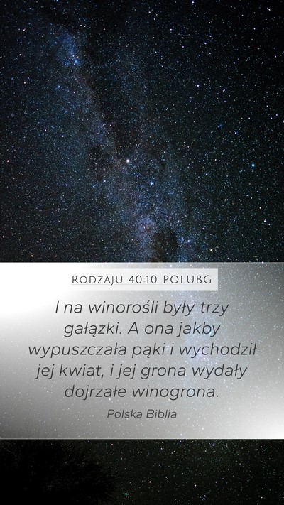 Rodzaju 40:10 POLUBG Mobile Phone Wallpaper - I na winorośli były trzy gałązki. A ona jakby - Mobile Bible Verse Wallpaper