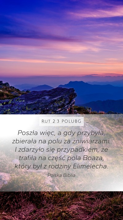 Rut 2:3 POLUBG Bible Verse Image
