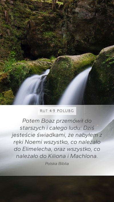 Rut 4:9 POLUBG Bible Verse Image