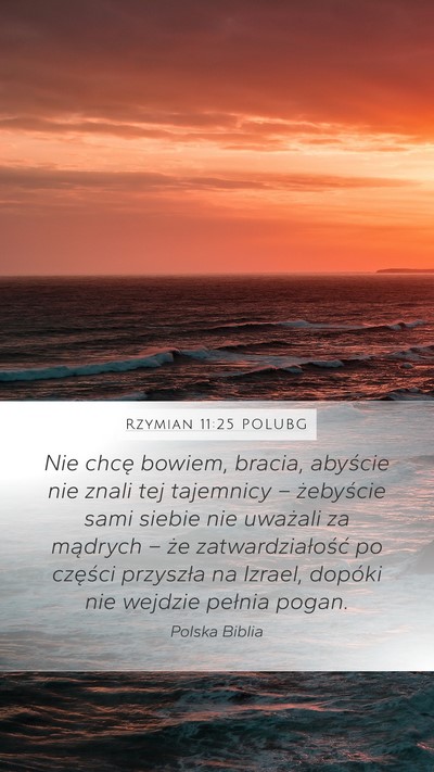 Rzymian 11:25 POLUBG Bible Verse Image