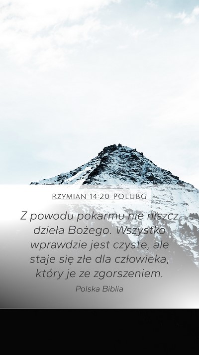 Rzymian 14:20 POLUBG Bible Verse Image