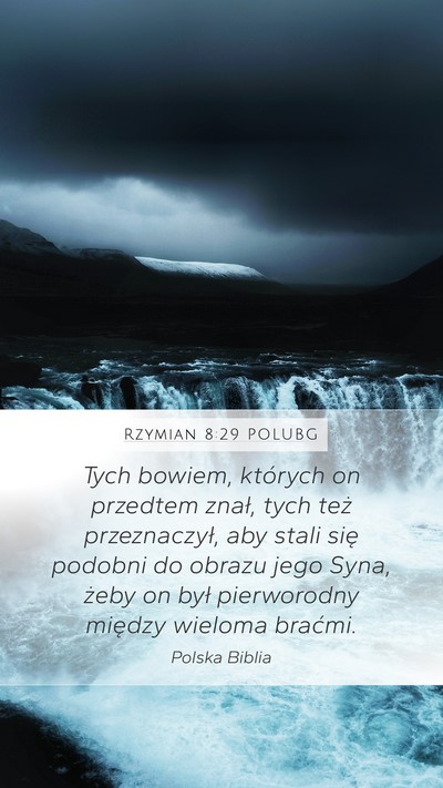 Rzymian 8:29 POLUBG Bible Verse Image
