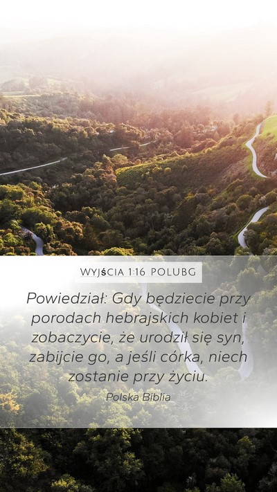 Wyjścia 1:16 POLUBG Bible Verse Image