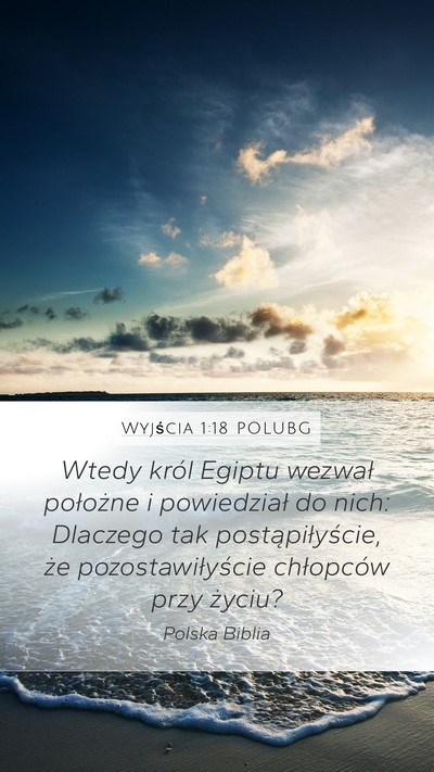Wyjścia 1:18 POLUBG Mobile Phone Wallpaper - Wtedy król Egiptu wezwał położne i - Mobile Bible Verse Wallpaper