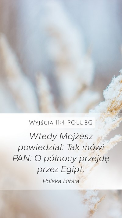 Wyjścia 11:4 POLUBG Bible Verse Image