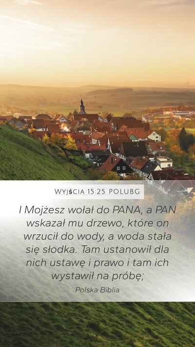 Wyjścia 15:25 POLUBG Bible Verse Image