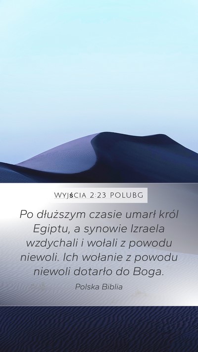 Wyjścia 2:23 POLUBG Bible Verse Image