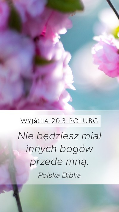 Wyjścia 20:3 POLUBG Bible Verse Image