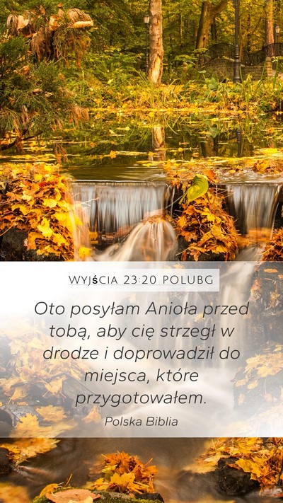 Wyjścia 23:20 POLUBG Bible Verse Image