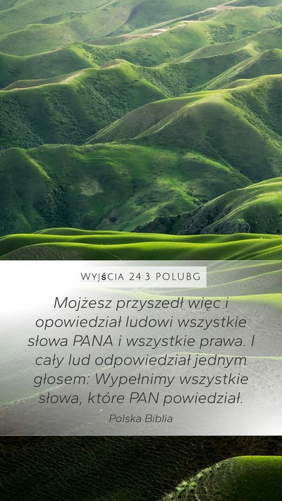 Wyjścia 24:3 POLUBG Bible Verse Image