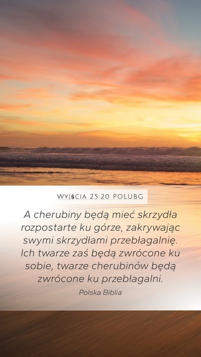 Wyjścia 25:20 POLUBG Bible Verse Image