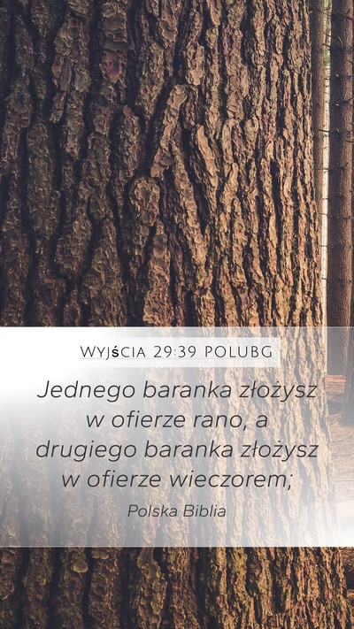 Wyjścia 29:39 POLUBG Bible Verse Image