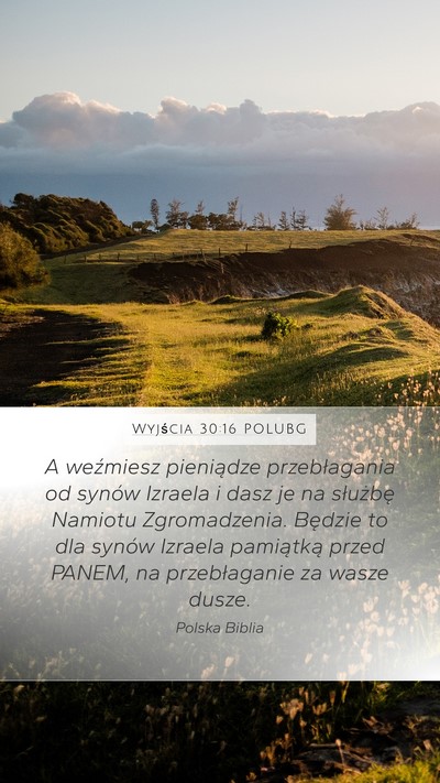 Wyjścia 30:16 POLUBG Bible Verse Image