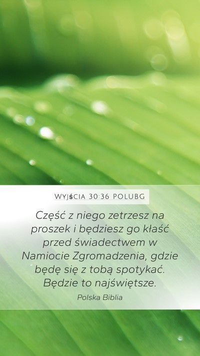 Wyjścia 30:36 POLUBG Bible Verse Image