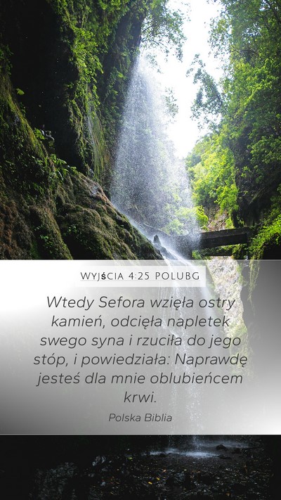Wyjścia 4:25 POLUBG Bible Verse Image