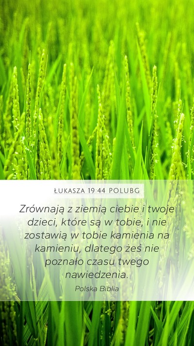 Łukasza 19:44 POLUBG Bible Verse Image
