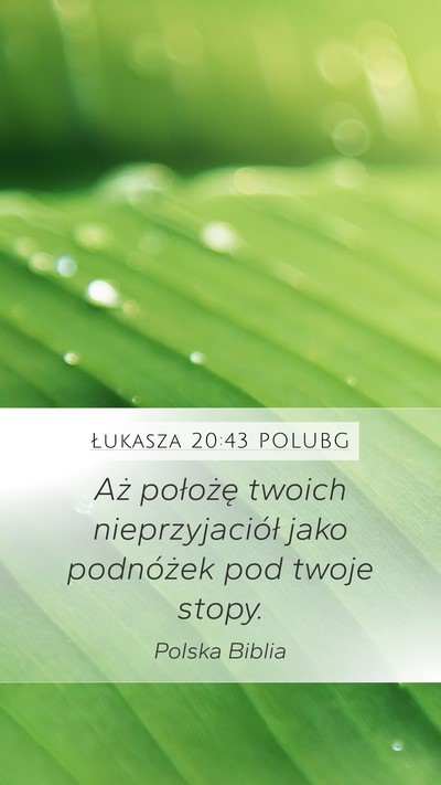 Łukasza 20:43 POLUBG Mobile Phone Wallpaper - Aż położę twoich nieprzyjaciół jako - Mobile Bible Verse Wallpaper