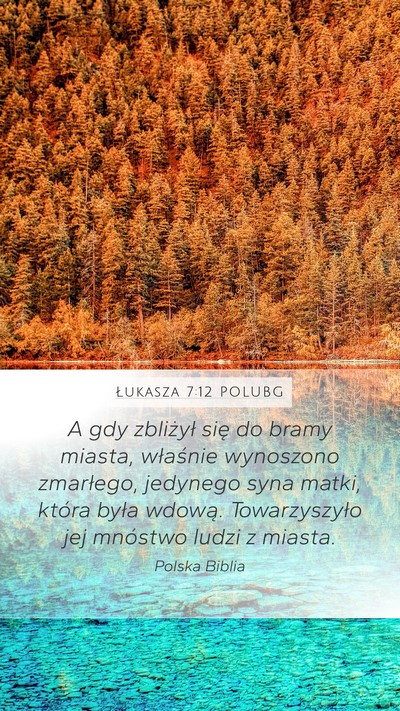 Łukasza 7:12 POLUBG Mobile Phone Wallpaper - A gdy zbliżył się do bramy miasta, właśnie - Mobile Bible Verse Wallpaper