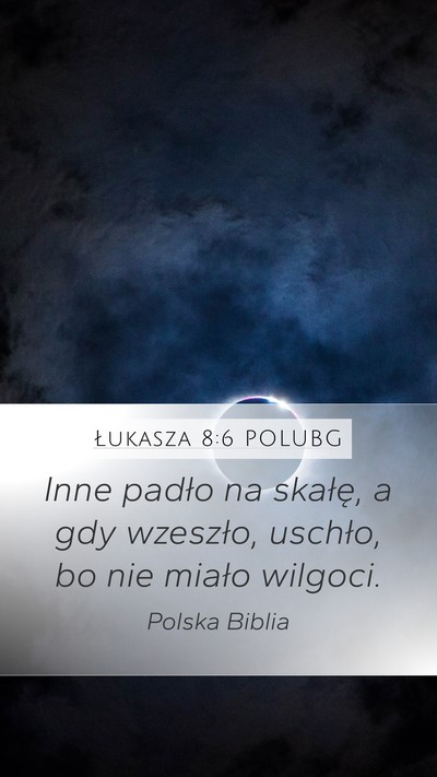 Łukasza 8:6 POLUBG Mobile Phone Wallpaper - Inne padło na skałę, a gdy wzeszło, uschło, - Mobile Bible Verse Wallpaper